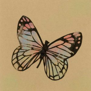 paper cut butterfly
