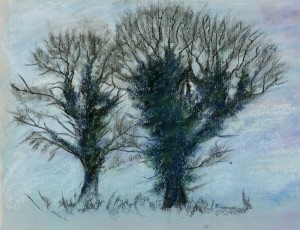 winter trees in soft pastel