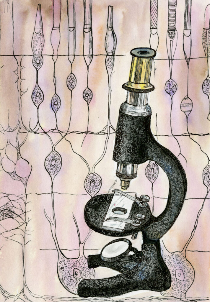 Pen and watercolour of old microscope and retinal cells