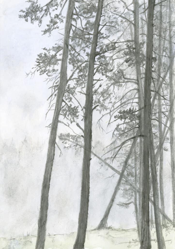 A misty morning in yellowstone in soluble graphite