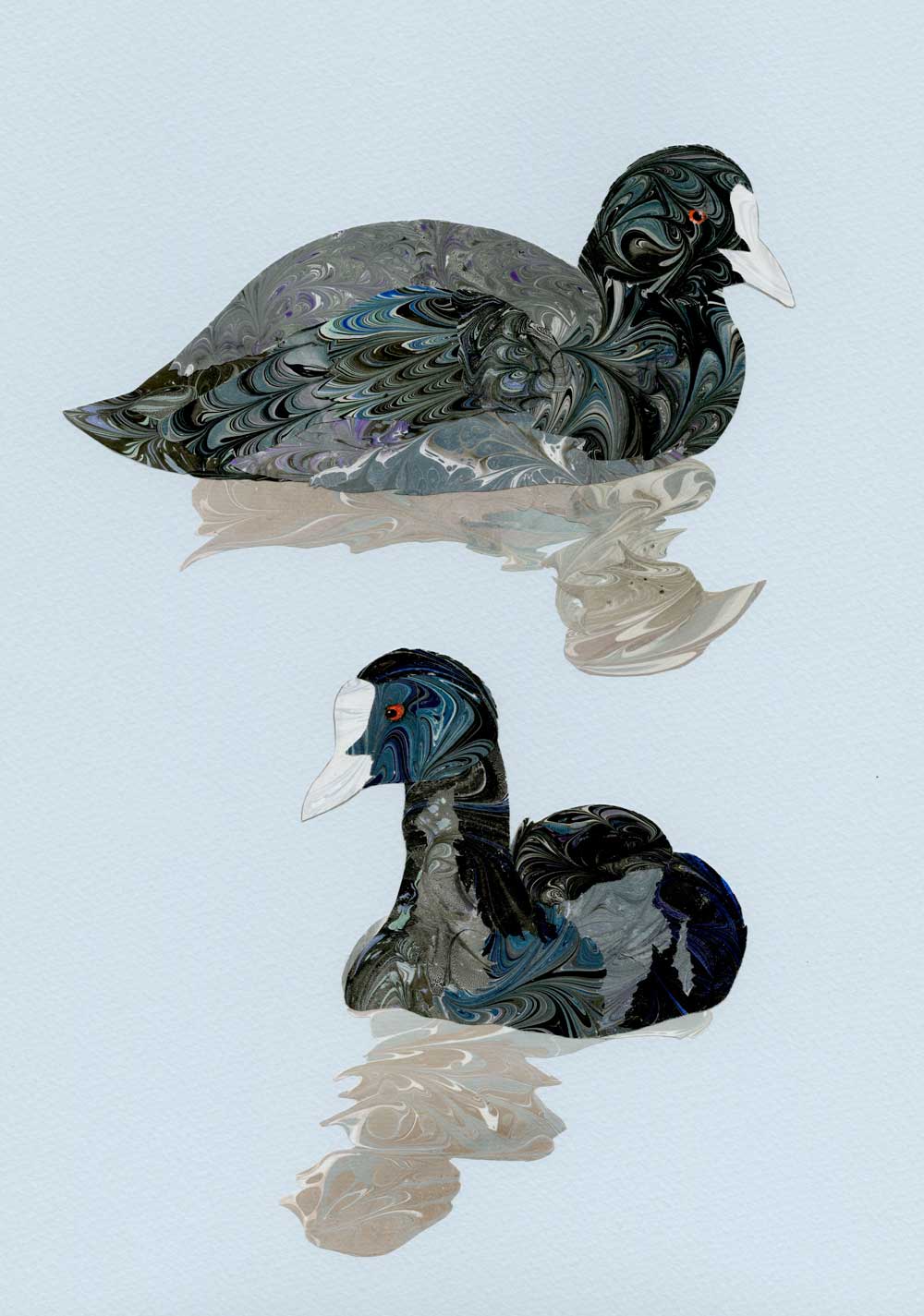 Coot marbled paper