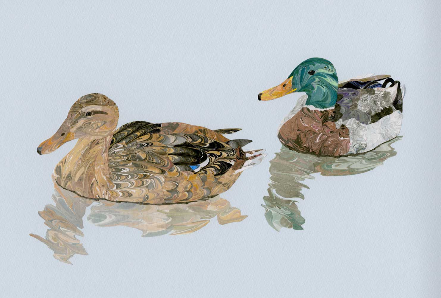 Mallard marbled paper