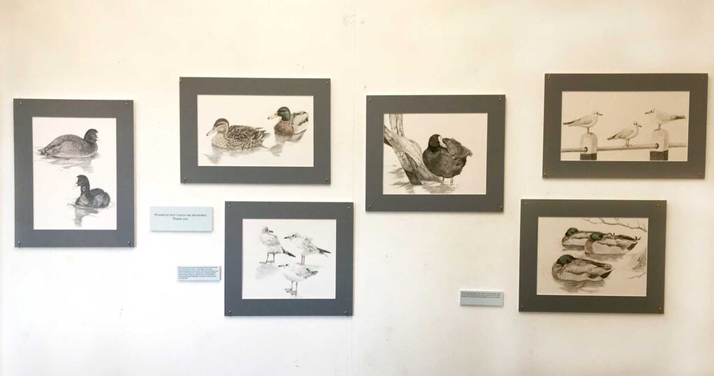 Birds on Paper show