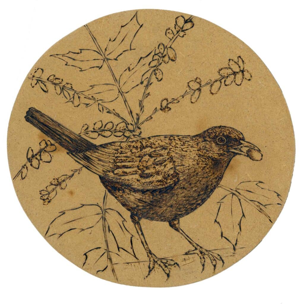 Pyrography blackbird on MDF