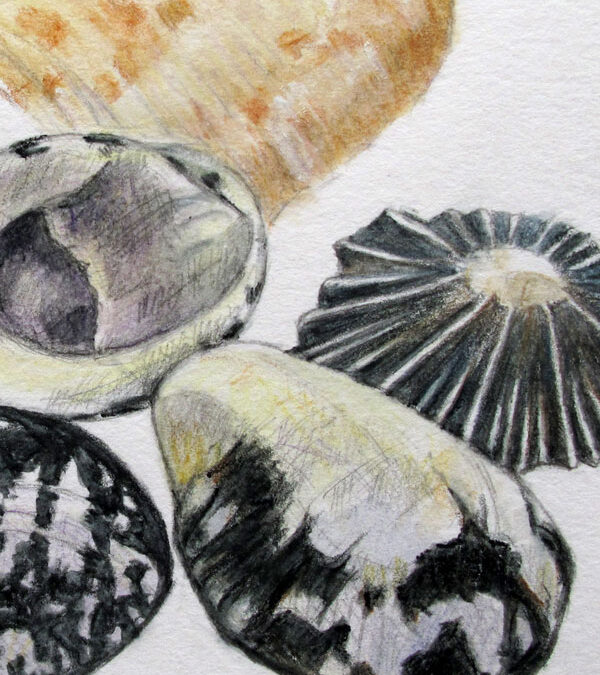 Shells…progress