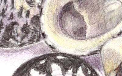 Shells… done!