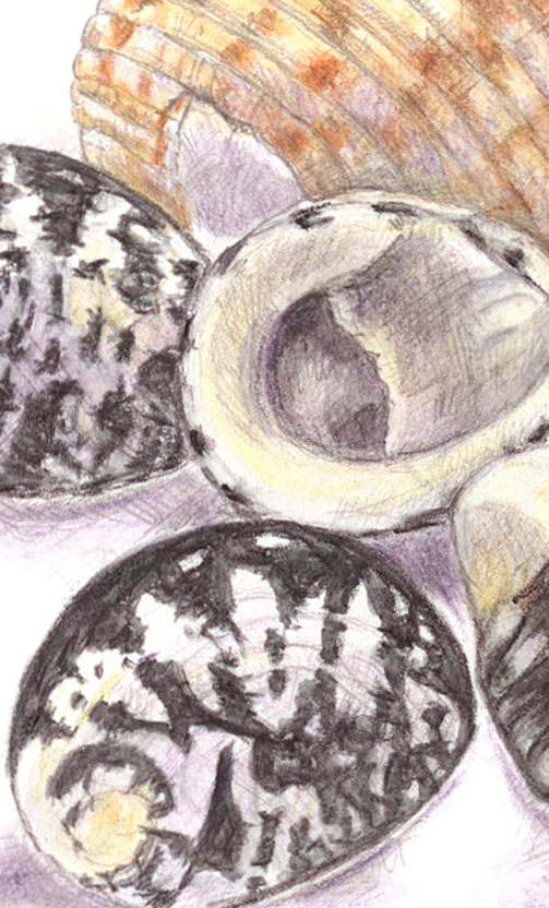 Shells&#8230; done!