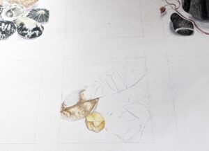 Feather and stones watercolour pencil and graphite