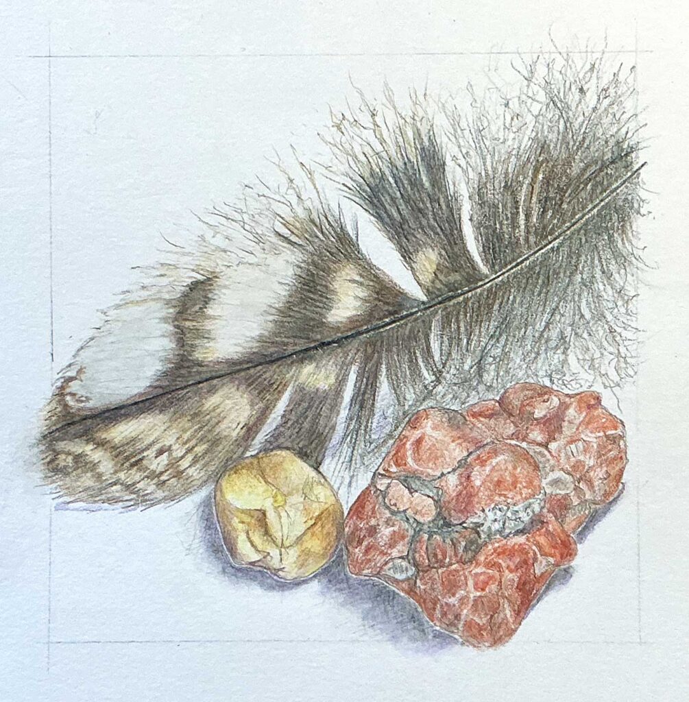 Feather and stones watercolour pencil and graphite