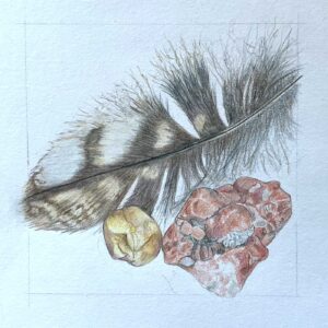 Feather and stones watercolour pencil and graphite