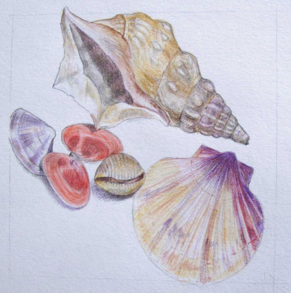 Shells