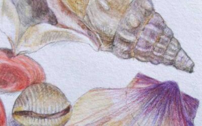 Shells  again