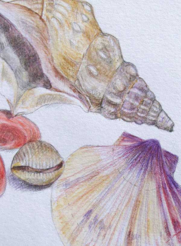 Shells  again