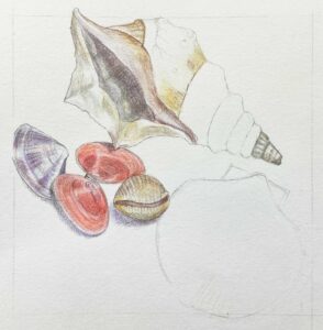 Shells